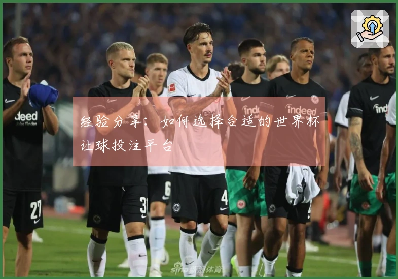 经验分享：如何选择合适的世界杯让球投注平台