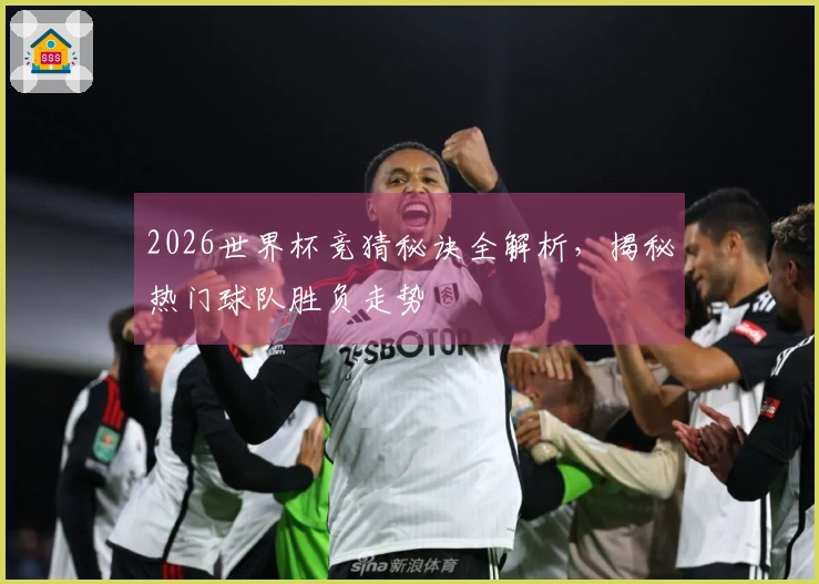 2026世界杯竞猜秘诀全解析，揭秘热门球队胜负走势