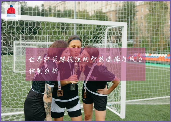 世界杯买球投注的智慧选择与风险控制分析