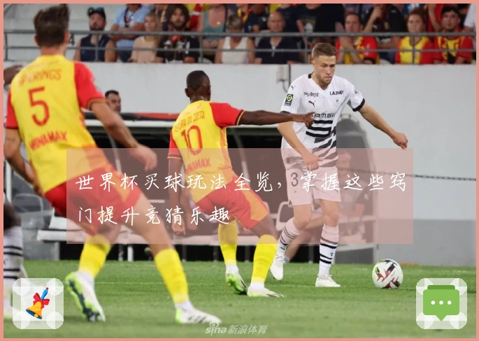 世界杯买球玩法全览，掌握这些窍门提升竞猜乐趣