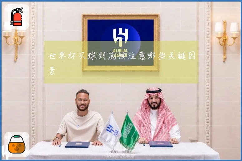 世界杯买球到底该注意哪些关键因素