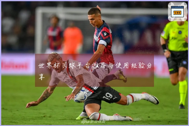 世界杯买球平台推荐与使用经验分享
