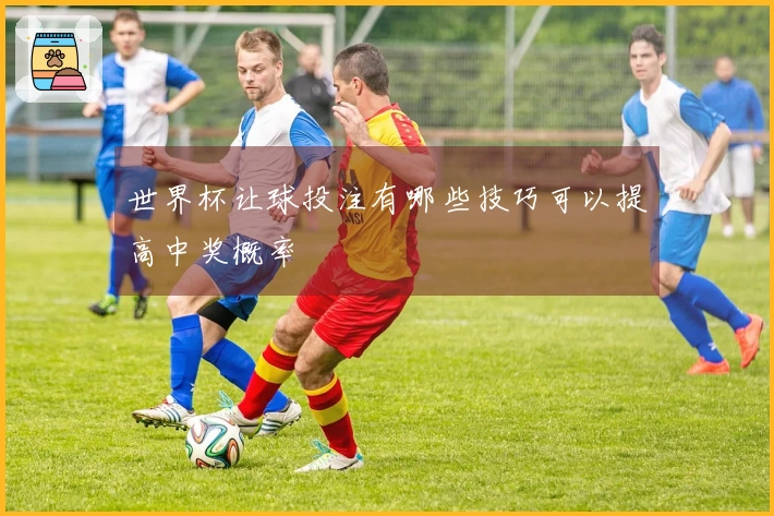 世界杯让球投注有哪些技巧可以提高中奖概率