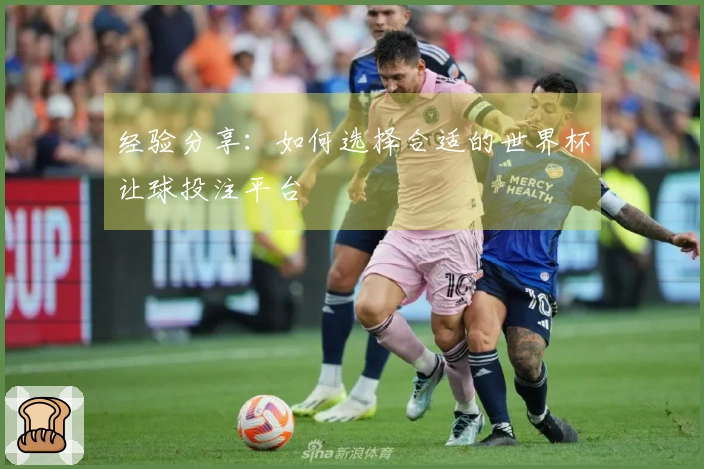 经验分享：如何选择合适的世界杯让球投注平台