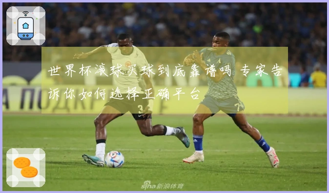 世界杯滚球买球到底靠谱吗 专家告诉你如何选择正确平台