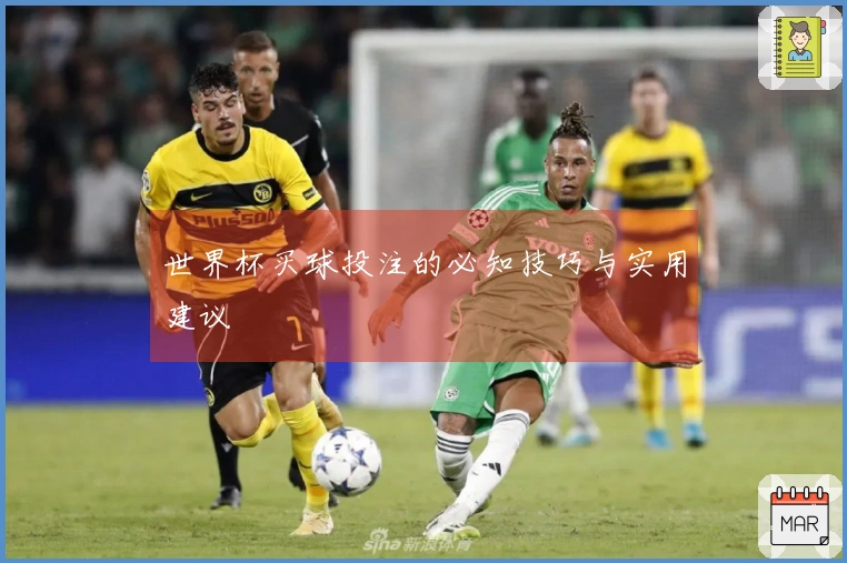 世界杯买球投注的必知技巧与实用建议