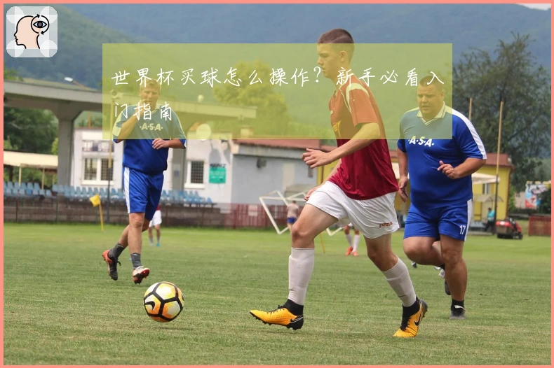 世界杯买球怎么操作？新手必看入门指南