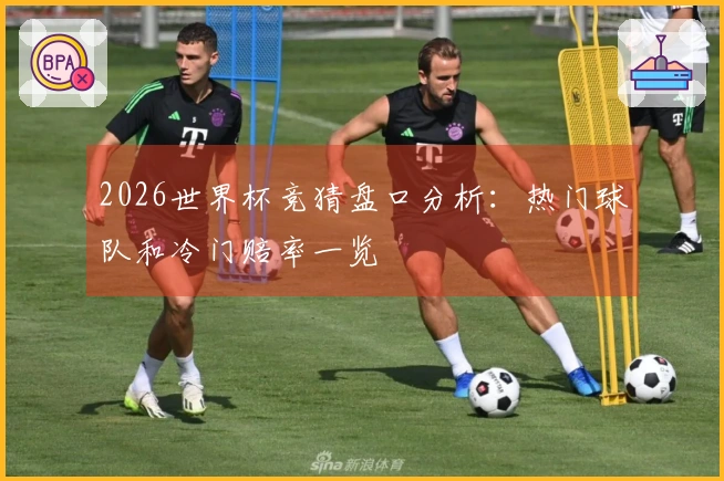 2026世界杯竞猜盘口分析：热门球队和冷门赔率一览