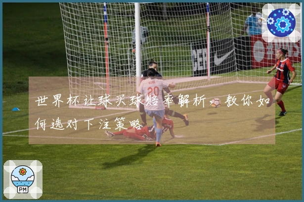 世界杯让球买球赔率解析，教你如何选对下注策略