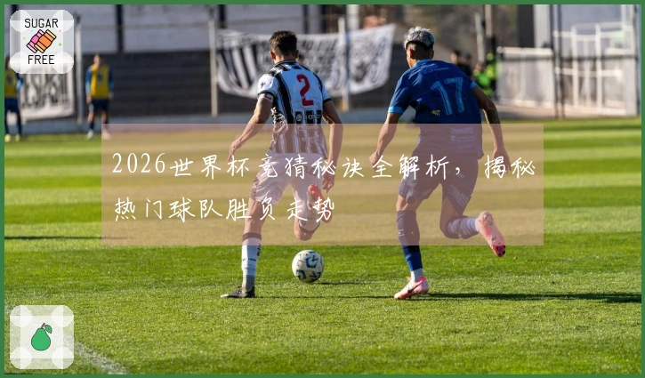 2026世界杯竞猜秘诀全解析，揭秘热门球队胜负走势