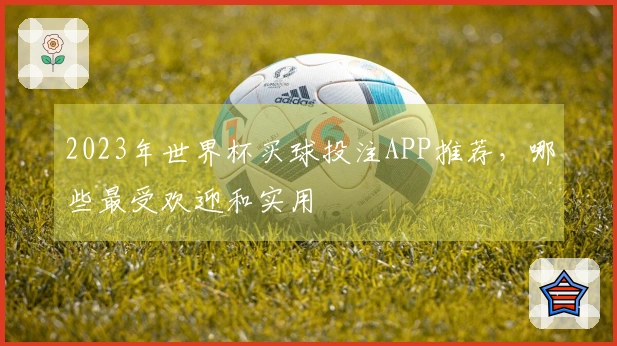2023年世界杯买球投注APP推荐，哪些最受欢迎和实用