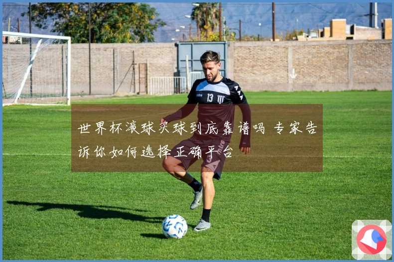 世界杯滚球买球到底靠谱吗 专家告诉你如何选择正确平台