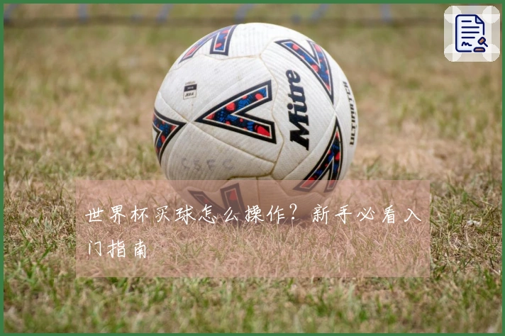 世界杯买球怎么操作？新手必看入门指南