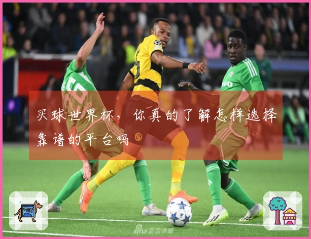 买球世界杯，你真的了解怎样选择靠谱的平台吗