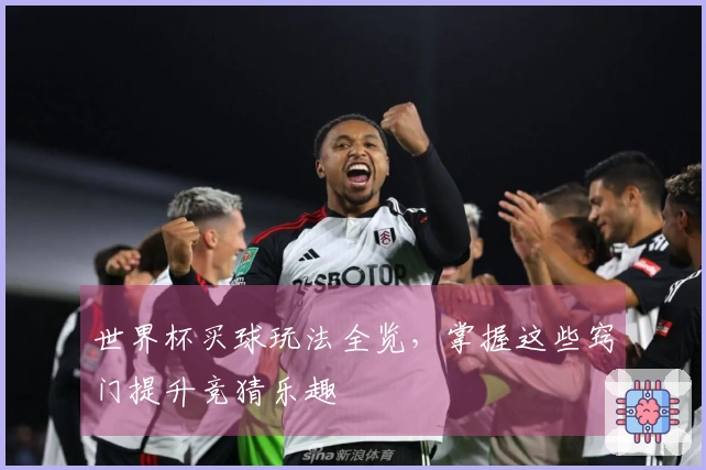 世界杯买球玩法全览，掌握这些窍门提升竞猜乐趣