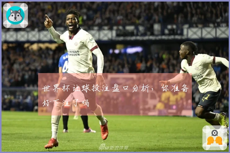 世界杯让球投注盘口分析，你准备好下注了吗