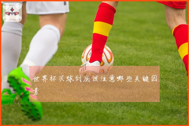 世界杯买球到底该注意哪些关键因素